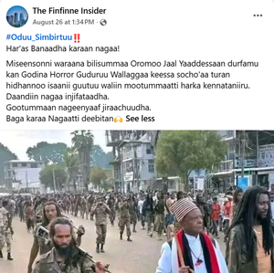 Read more about the article This image does not show a recent surrender of OLA fighters in Horo Guduru Wollega
