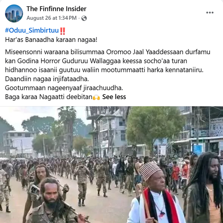 This image does not show a recent surrender of OLA fighters in Horo Guduru Wollega